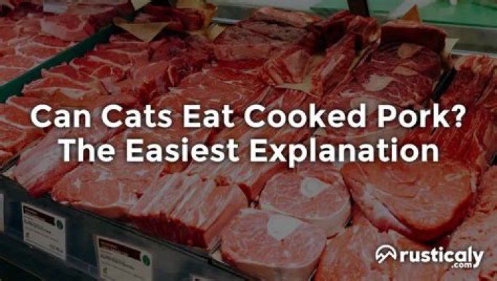 Can Cats Eat Pork - How To Discuss